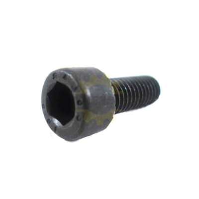 F000616134 TORNILLO CILÍNDRICA HEX BOSCH