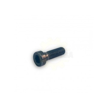 Dewalt 574523-00 TORNILLO